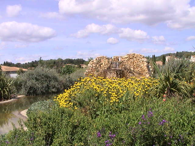La fontaine